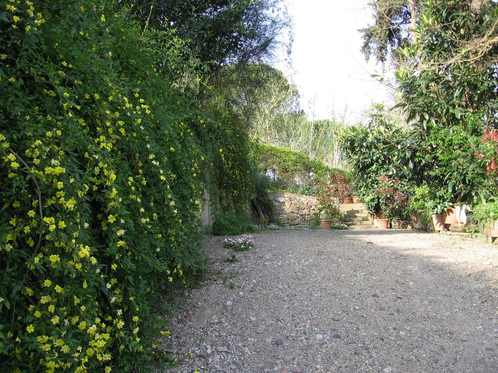 La Capanna Di Sovestro Hotel San Gimignano Værelse billede